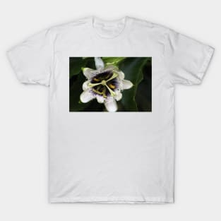 Passion Flower Closeup 2 T-Shirt